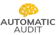 automatic_audit_small